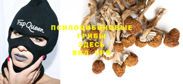 PSILOCYBIN Белоозёрский