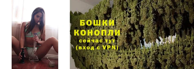 Бошки Шишки Ganja  Дрезна 